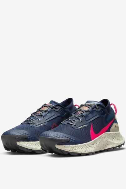 NIKE Pegasus Trail 3 Gore-Tex Shoes Blue