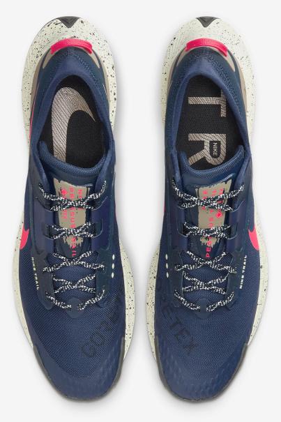 NIKE Pegasus Trail 3 Gore-Tex Shoes Blue