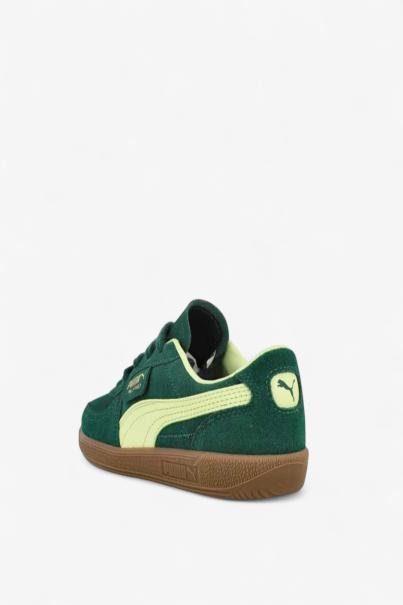 PUMA Palermo Ps Shoes Green