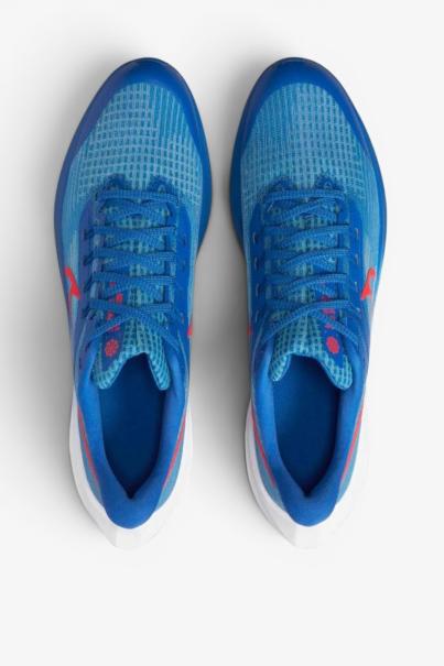 NIKE AirZoom Pegasus 39 W Shoes Blue